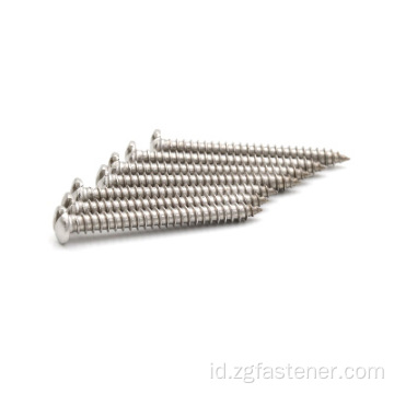 DIN7971 Stainless Steel 304 Slotted Pan Head Tapping Screws